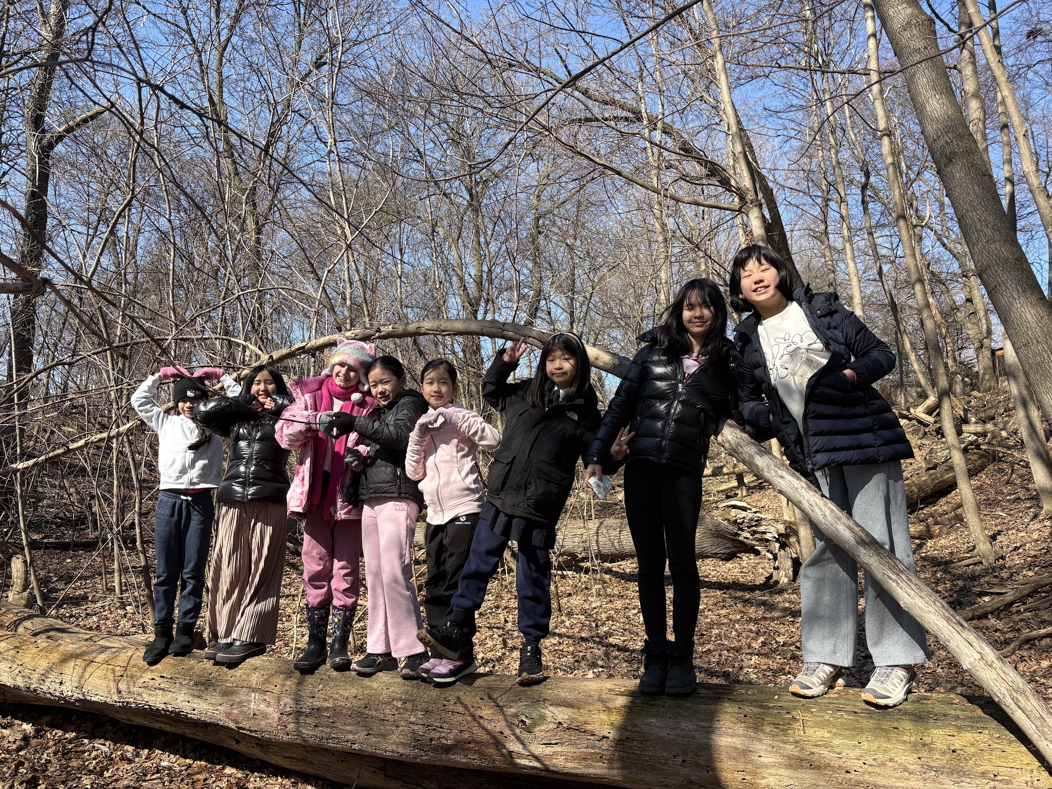A group of female students standing on a log.